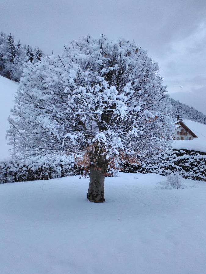 Haus Kieler Lejlighed Schladming Eksteriør billede