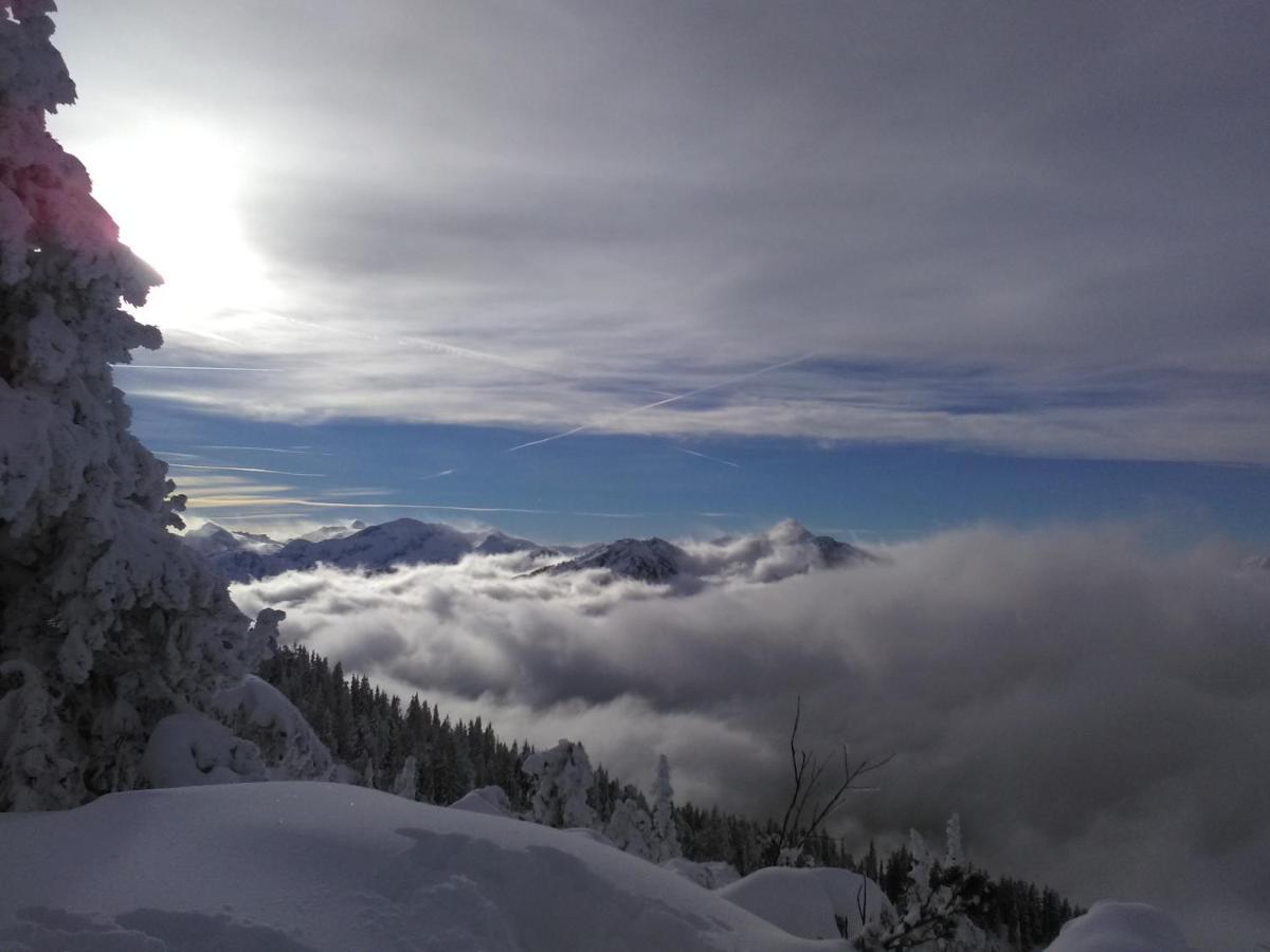 Haus Kieler Lejlighed Schladming Eksteriør billede